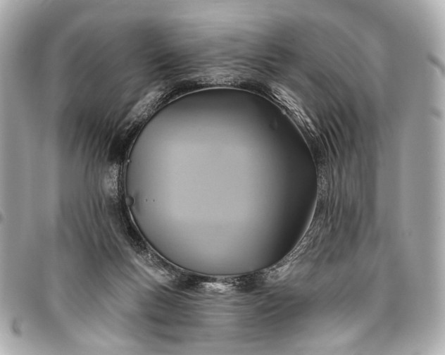 X0000096990167200802221507