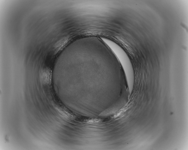 X0000096990168200802221507