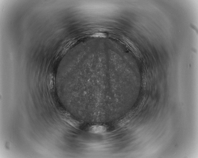 X0000096990169200802221507