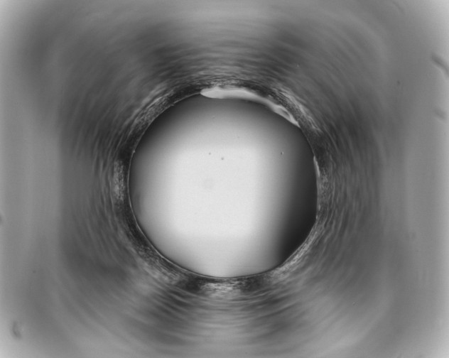 X0000096990170200802221507