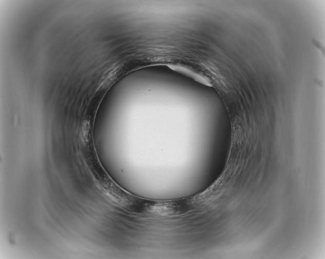 X0000096990171200802221507