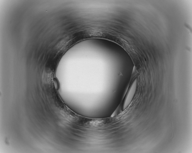 X0000096990172200802221507