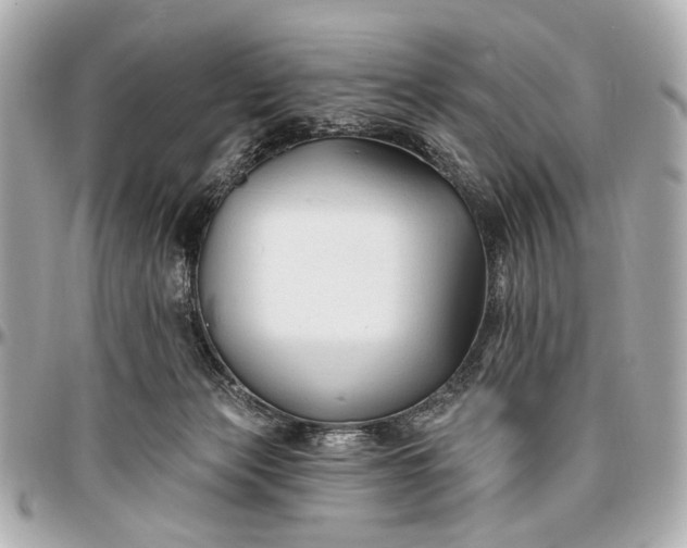 X0000096990173200802221507