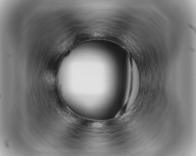 X0000096990176200802221507