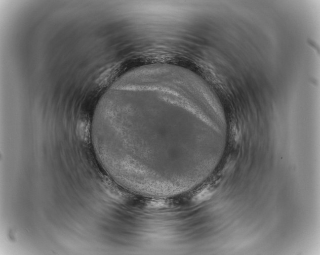 X0000096990177200802221507