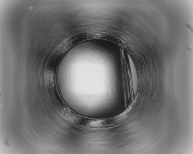 X0000096990178200802221507