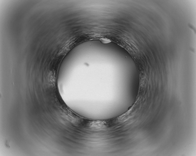 X0000096990179200802221507