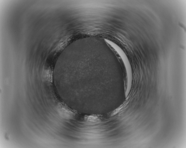 X0000096990180200802221507