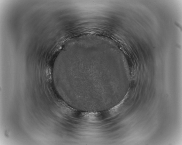 X0000096990182200802221507