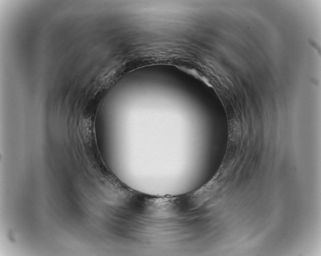 X0000096990184200802221507