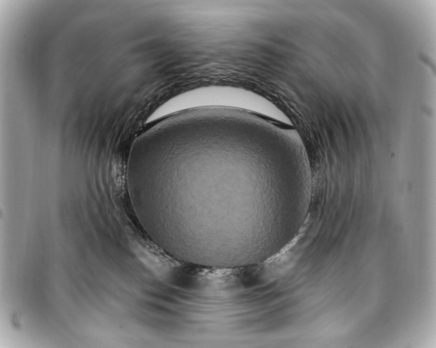 X0000096990186200802221507