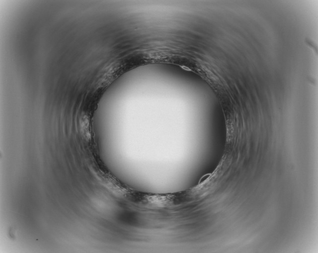 X0000096990187200802221507