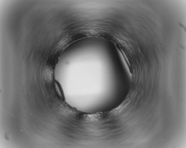 X0000096990188200802221507