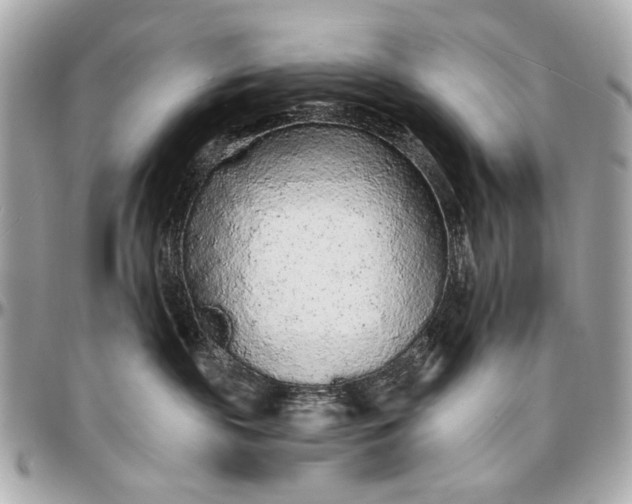 X0000096990189200802221507