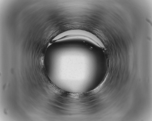 X0000096990190200802221507