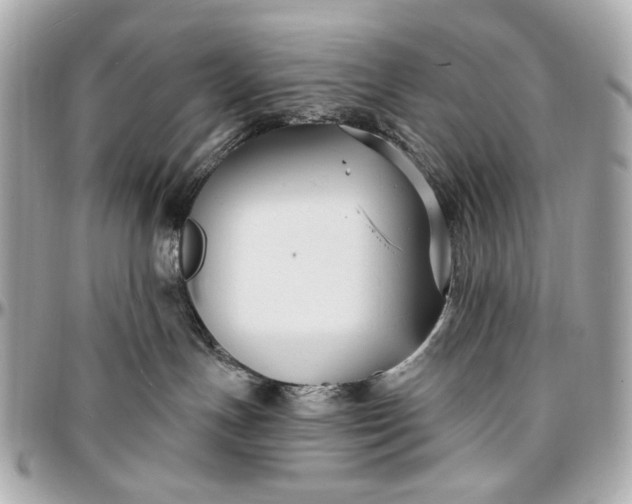 X0000096990191200802221507