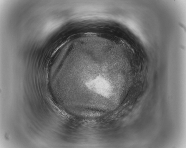 X0000096990194200802221506