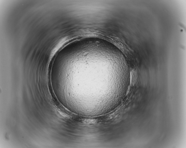 X0000096990195200802221506