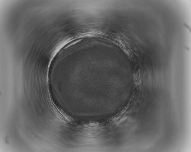 X0000096990196200802221506