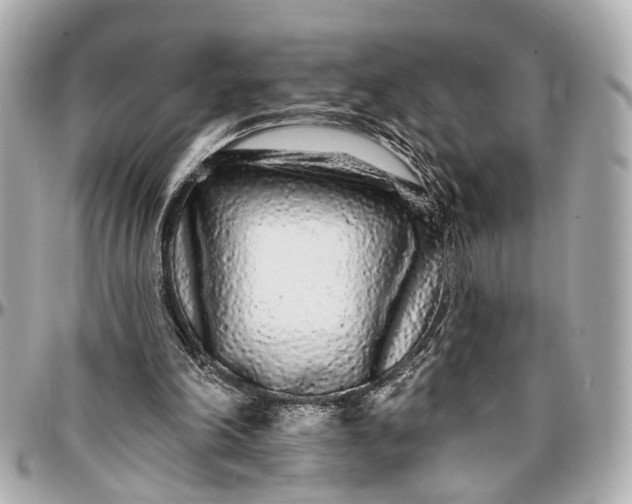 X0000096990198200802221506