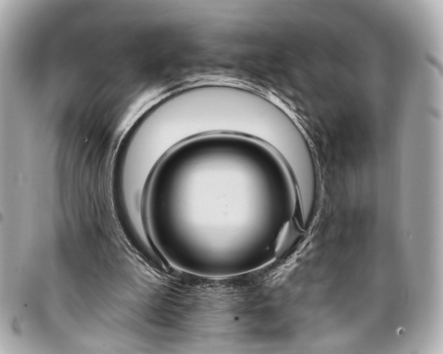 X0000096990199200802221506