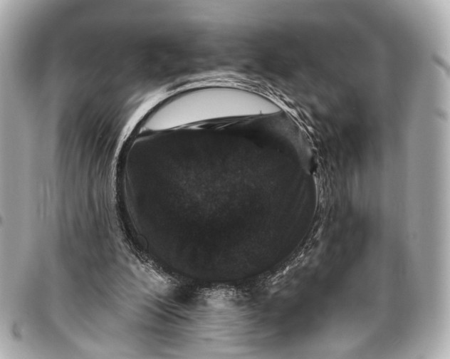 X0000096990200200802221506