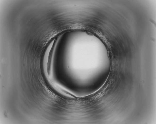 X0000096990201200802221506