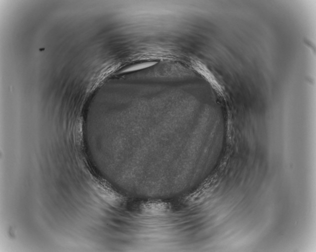 X0000096990202200802221506