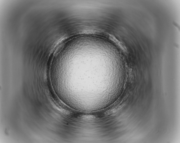 X0000096990203200802221506