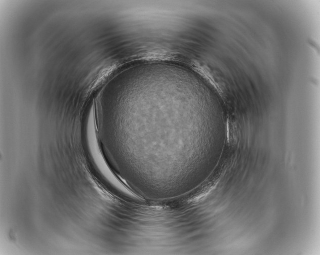 X0000096990205200802221506