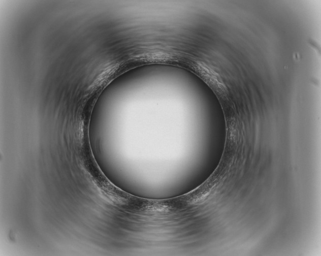 X0000096990206200802221506