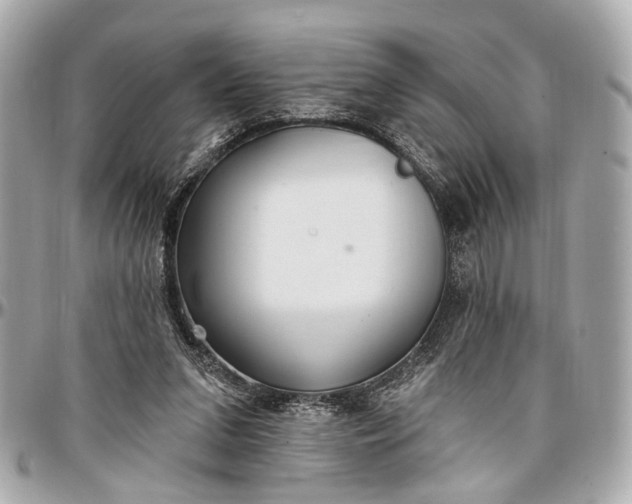 X0000096990207200802221506