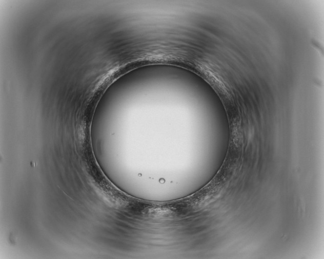 X0000096990208200802221506