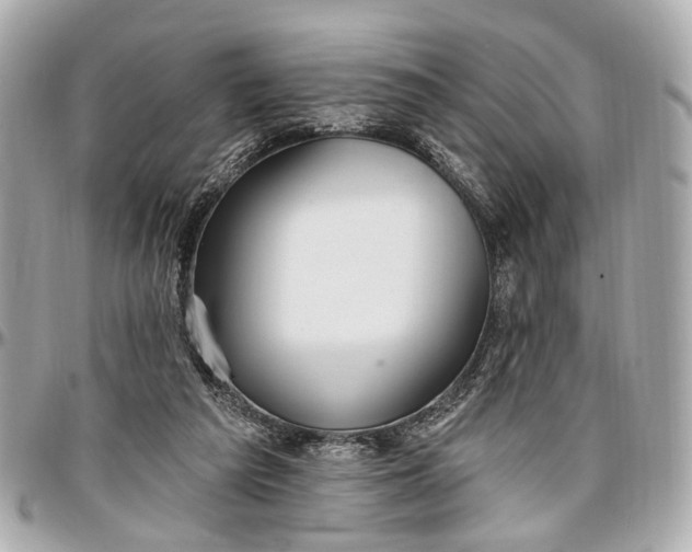 X0000096990209200802221506