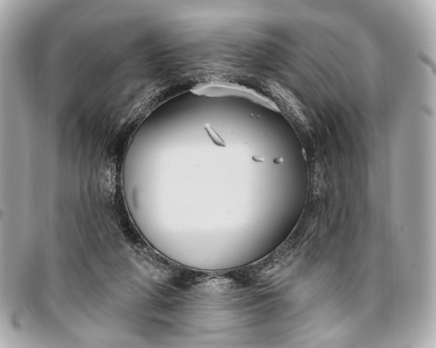 X0000096990210200802221506