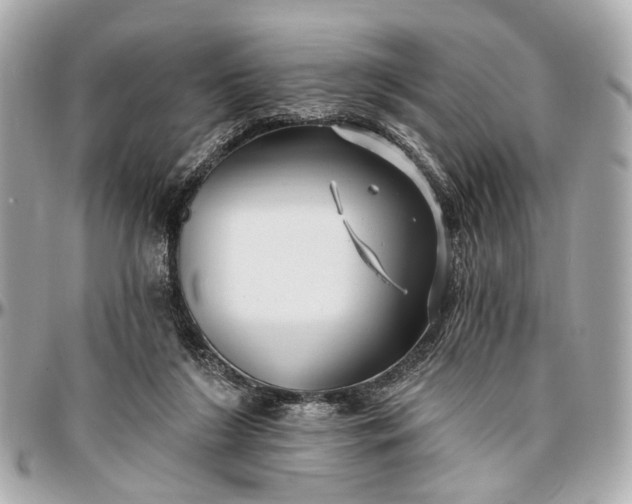 X0000096990212200802221506