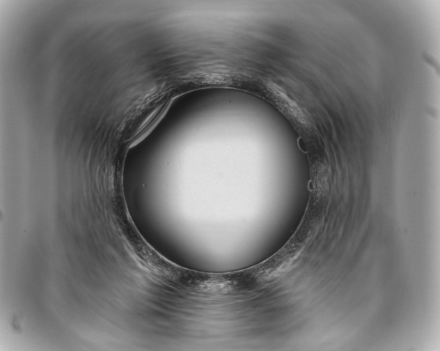 X0000096990213200802221506