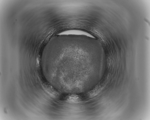 X0000096990214200802221506