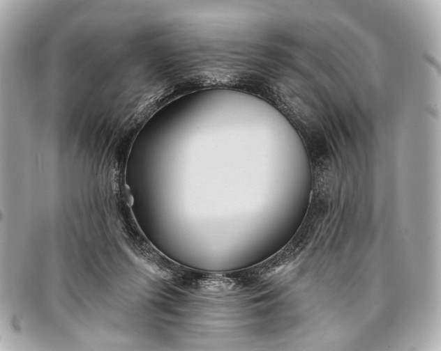 X0000096990215200802221506