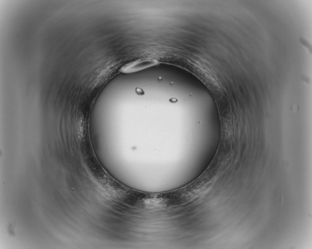 X0000096990216200802221506