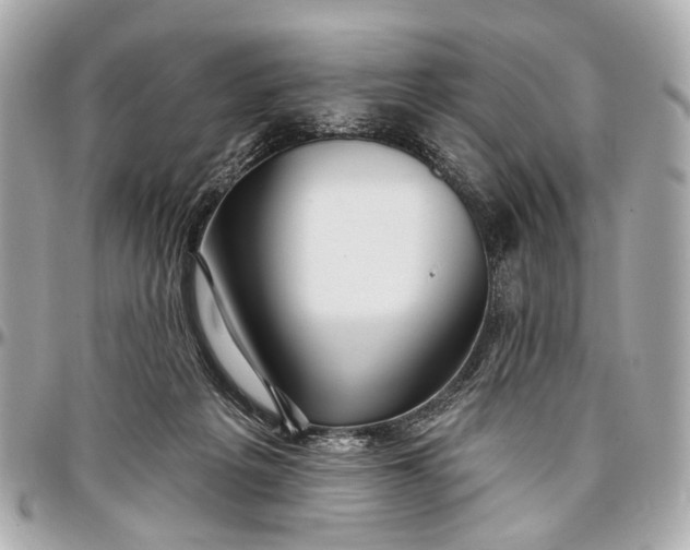 X0000096990217200802221506