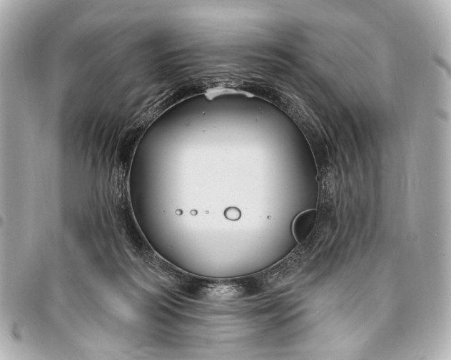 X0000096990218200802221506