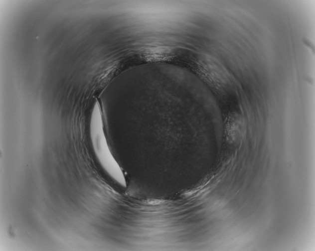 X0000096990219200802221506