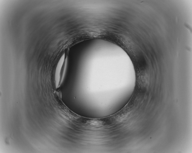 X0000096990221200802221506