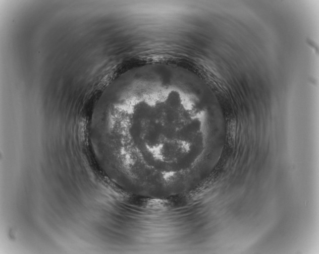 X0000096990222200802221505