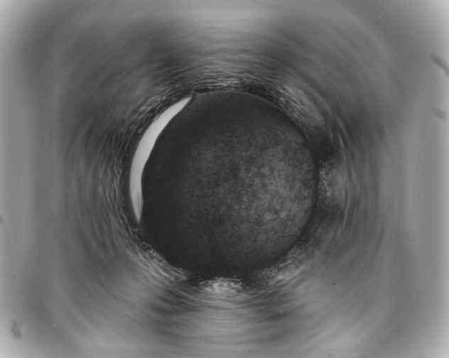 X0000096990223200802221505