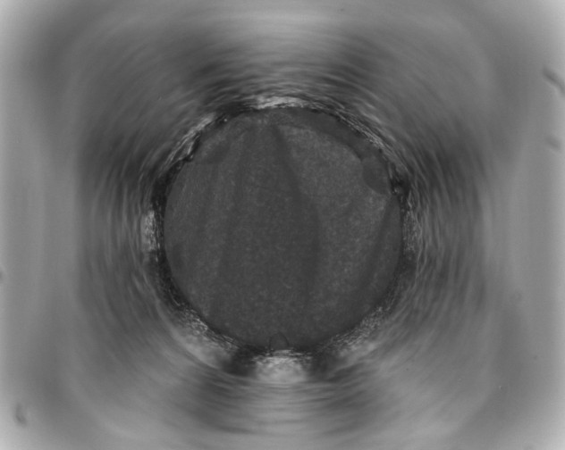 X0000096990224200802221505