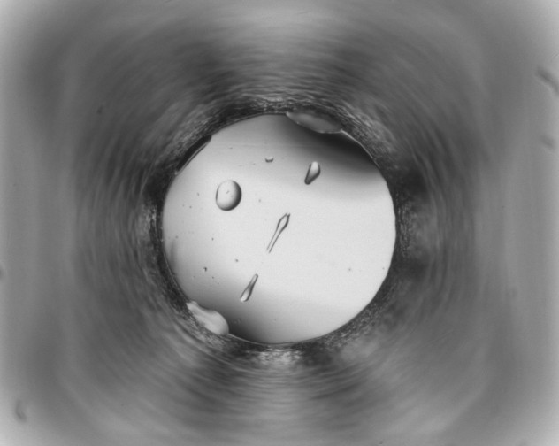 X0000096990225200802221505