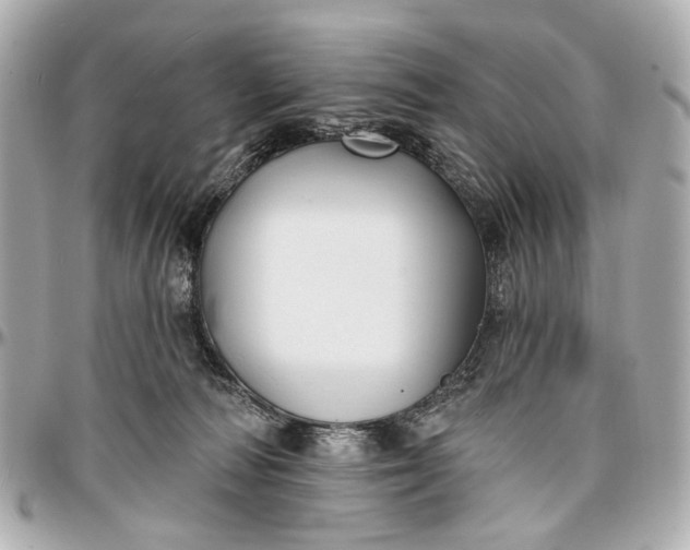 X0000096990226200802221505