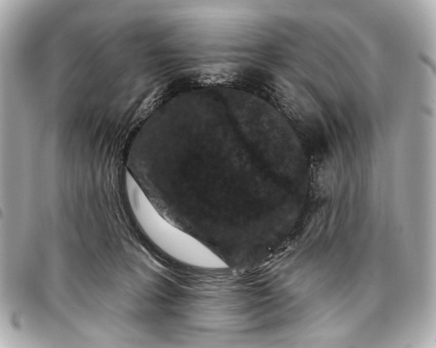 X0000096990227200802221505